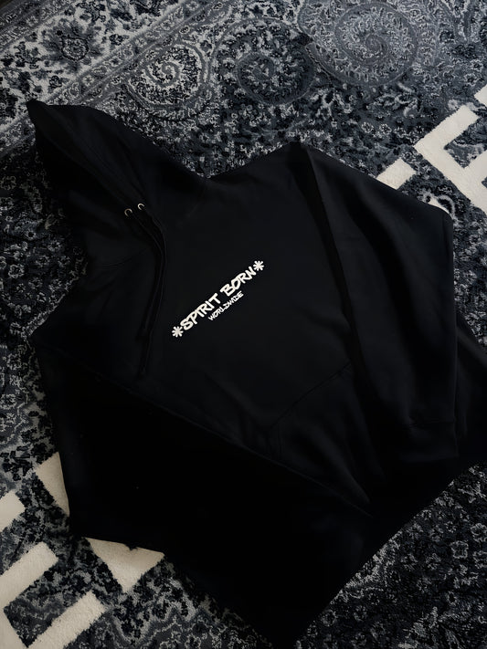 CHECK YOUR HEAD HOODIE